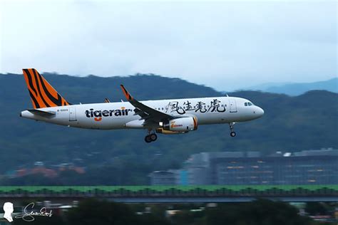 日虎官網|台灣虎航 Tigerair Taiwan 